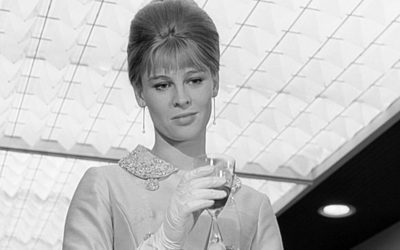 Darling: A que Amou Demais