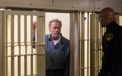 Em Busca de Vingança