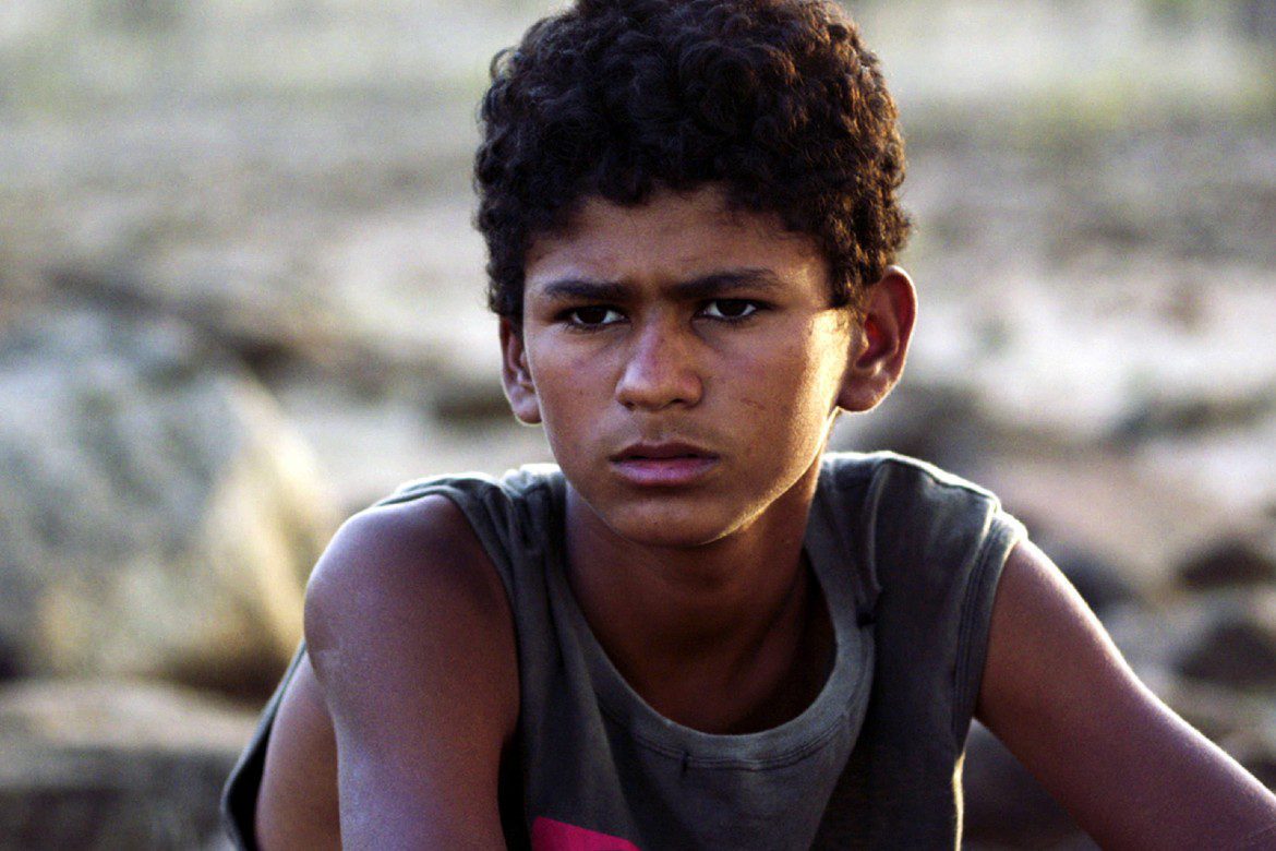 Filho de Boi