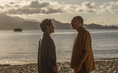 Um Lobo Entre os Cisnes