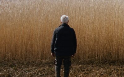 Reedland: Um Crime Obscuro