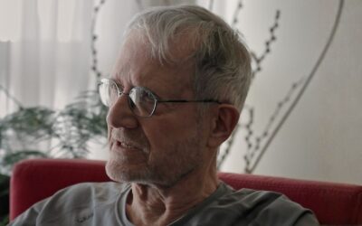 Os Ruminantes